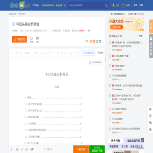 今日头条分析报告 - 豆丁网